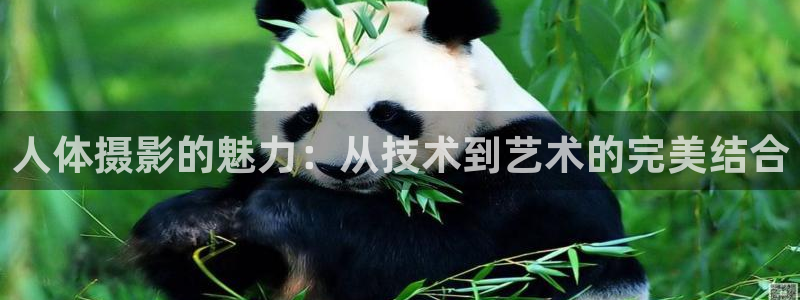 依依影院下载：人体摄影的魅力：从技术到艺术的完美结合