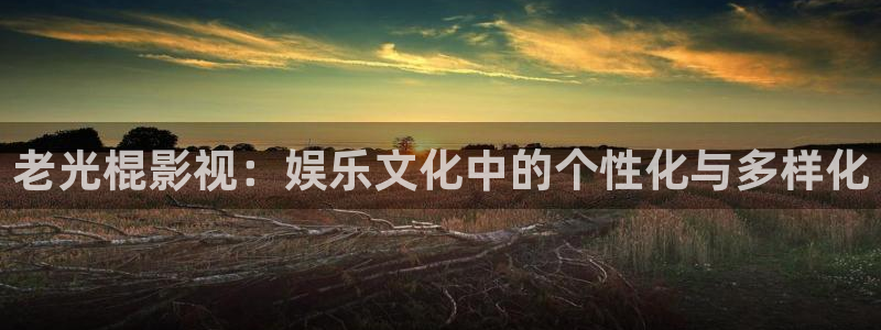 依依影视：老光棍影视：娱乐文化中的个性化与多样化