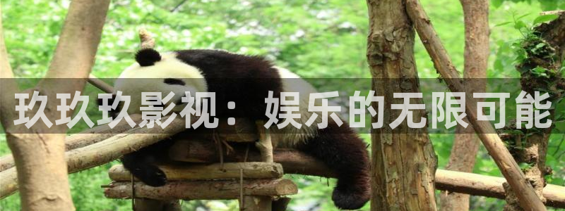 依依婷婷影院：玖玖玖影视：娱乐的无限可能