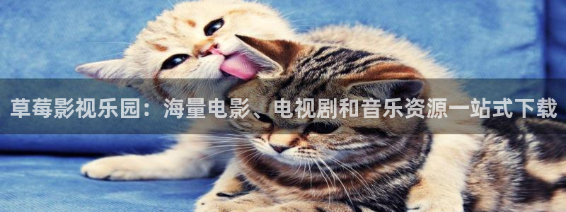 日韩依依影院：草莓影视乐园：海量电影、电视剧和音乐资源一站式下载