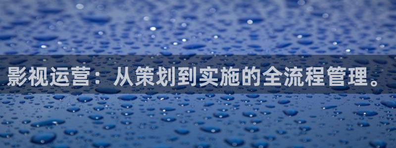 亚洲依依成人影院：影视运营：从策划到实施的全流程管理。