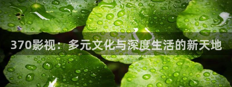 依依电影av：370影视：多元文化与深度生活的新天地
