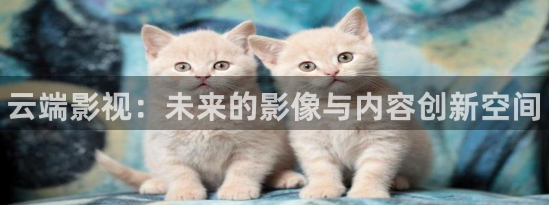 依依婷婷影院：云端影视：未来的影像与内容创新空间