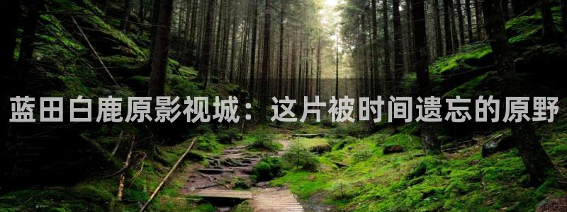 依依影院俺去啦：蓝田白鹿原影视城：这片被时间遗忘的原野